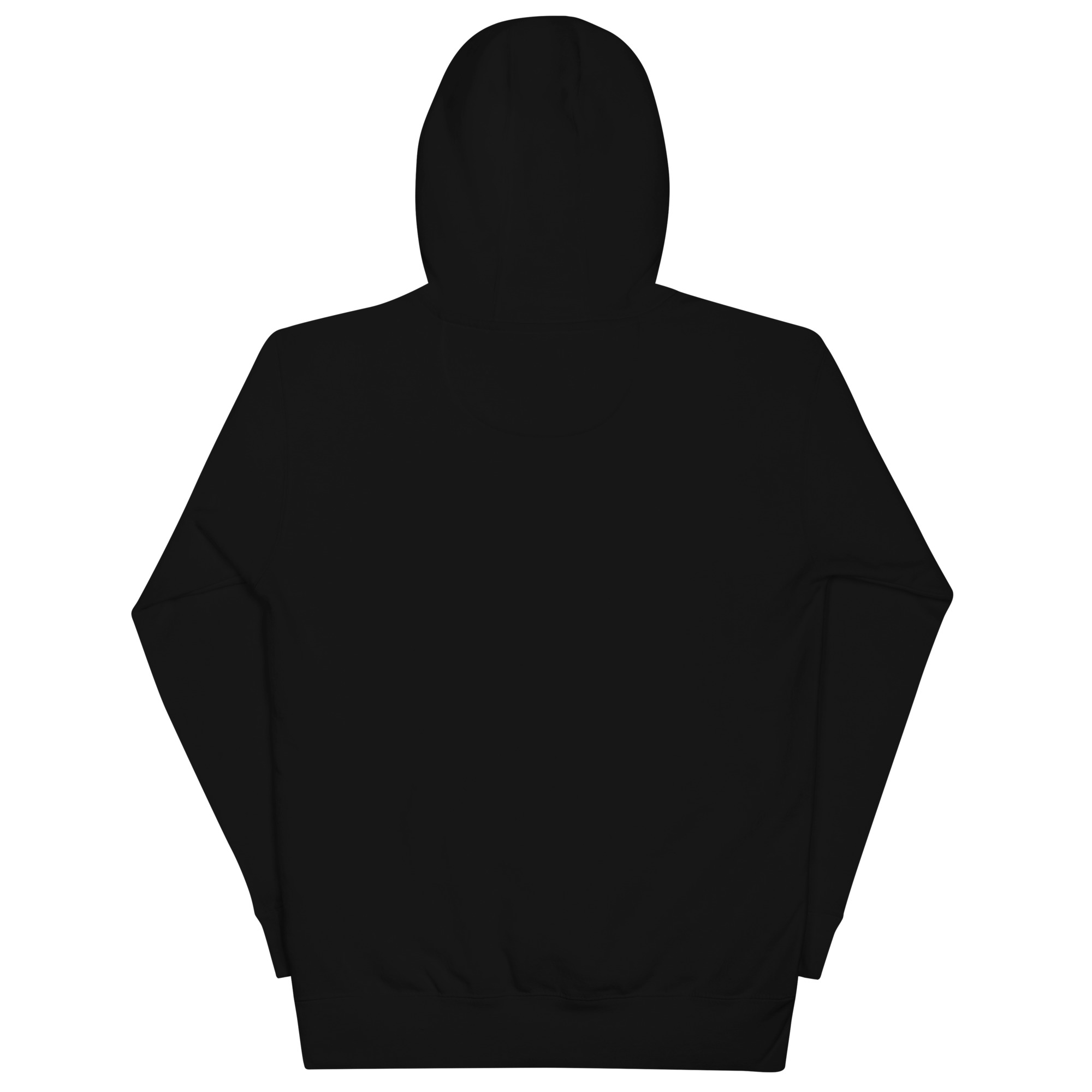 Alien Peace Unisex Hoodie | UFO Come in Peace Hoodie - Image 2
