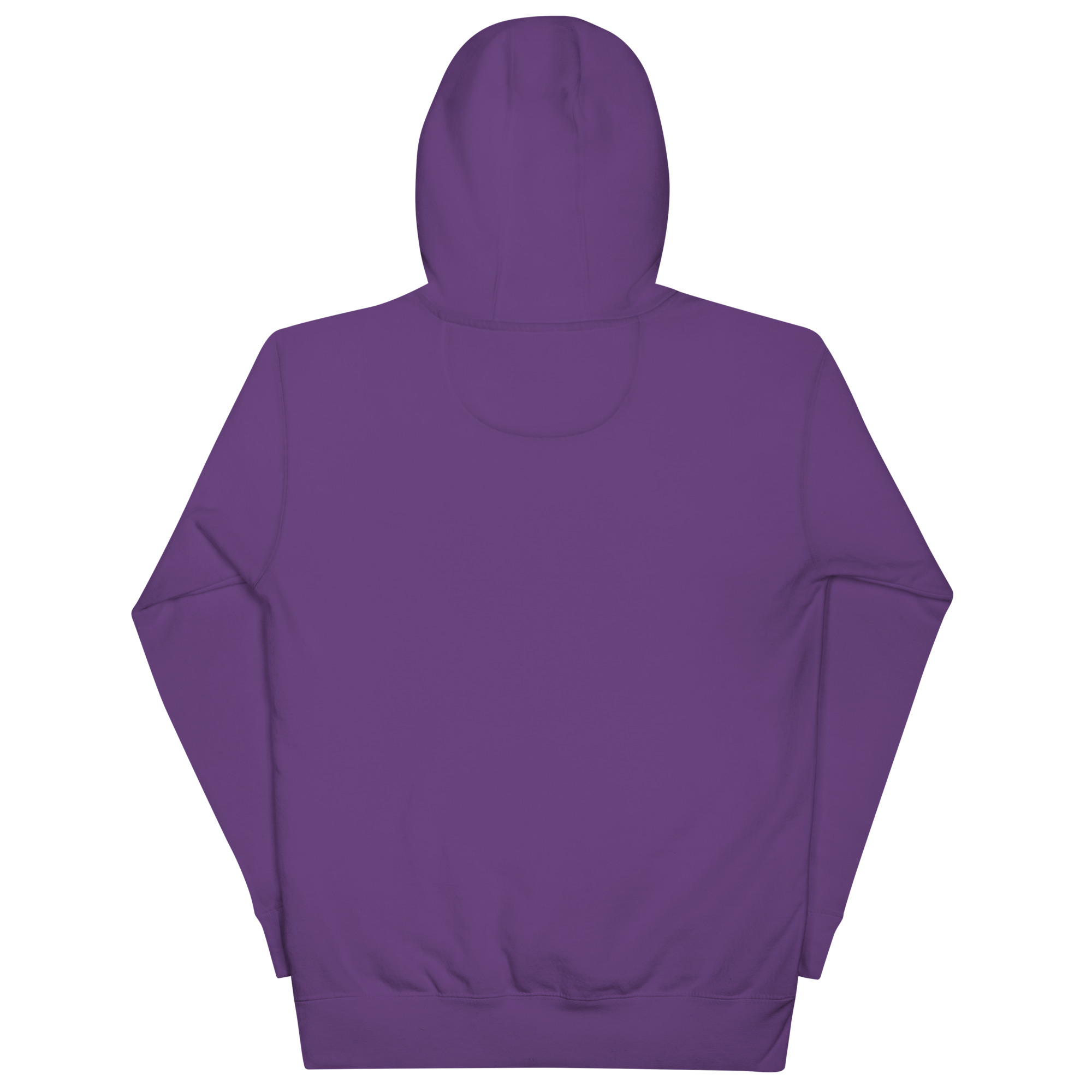 Alien Peace Unisex Hoodie | UFO Come in Peace Hoodie - Image 12